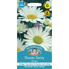 Fothergills Shasta Daisy Alaska Fothergills Shasta Daisy Alaska