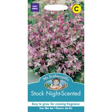 Fothergills Stock Night Scented