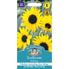 Fothergills Sunflower Alchemy