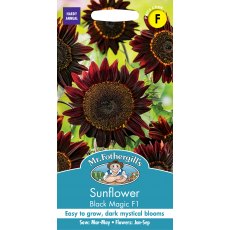 Fothergills Sunflower Black Magic F1