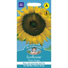 Fothergills Sunflower Giant Single Fothergills Sunflower Giant Single