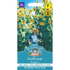 Fothergills Sunflower Kong F1