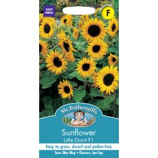 Fothergills Sunflower Little Dorrit F1