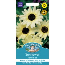 Fothergills Sunflower Vanilla Ice