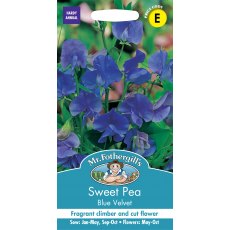 Fothergills Sweet Pea Blue Velvet