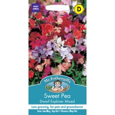 Fothergills Sweet Pea Dwarf Explorer Mixed