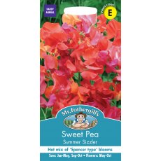 Fothergills Sweet Pea Summer Sizzler