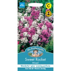 Fothergills Sweet Rocket Mixed