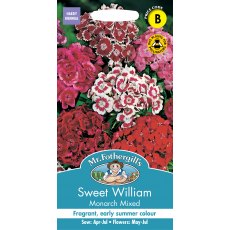 Fothergills Sweet William Monarch Mixed