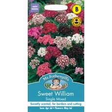Fothergills Sweet William Single Mixed Fothergills Sweet William Single Mixed
