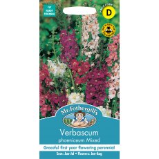 Fothergills Verbascum Phoeniceum Mixed Fothergills Verbascum Phoeniceum Mixed