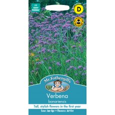 Fothergills Verbena Bonariensis Fothergills Verbena Bonariensis