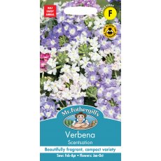 Fothergills Verbena Scentsation Fothergills Verbena Scentsation