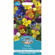Fothergills Viola Chicky Chicks