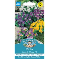 Fothergills Viola Comedy Mixed F2