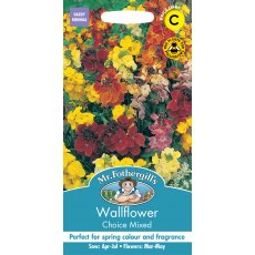 Fothergills Wallflower Choice Mixed