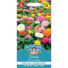 Fothergills Zinnia Choice Mixed