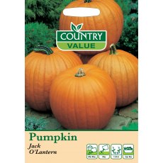 Pumpkin Jack O Lantern Foth Fun Seeds