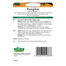 Pumpkin Jack O Lantern Foth Fun Seeds