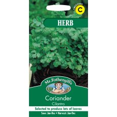 Fothergills Coriander Cilantro Herb Garden Fothergills Coriander Cilantro Herb Garden