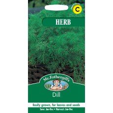 Fothergills Dill Herb Garden Fothergills Dill Herb Garden