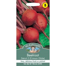 Fothergills Beetroot Detroit 2  Crimson Globe Fothergills Beetroot Detroit 2  Crimson Globe