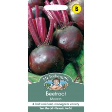 Fothergills Beetroot Moneta Fothergills Beetroot Moneta
