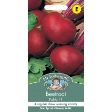 Fothergills Beetroot Pablo F1 Fothergills Beetroot Pablo F1