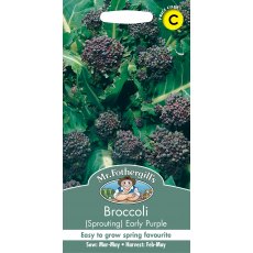 Fothergills Broccoli Sprouting  Early Purple Fothergills Broccoli Sprouting  Early Purple