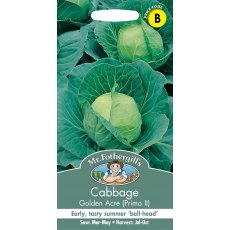 Fothergills Cabbage Golden Acre/primo Fothergills Cabbage Golden Acre/primo