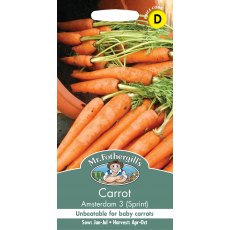 Fothergills Carrot Amsterdam 3 Sprint Fothergills Carrot Amsterdam 3 Sprint