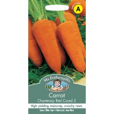 Fothergills Carrot Chantenay Red Cored 2
