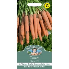Fothergills Carrot Nerac F1 Fothergills Carrot Nerac F1