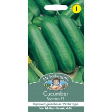 Fothergills Cucumber Socrates F1 Fothergills Cucumber Socrates F1
