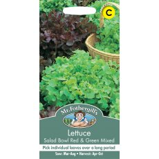 Fothergills Lettuce Salad Bowl Red & Green Mix Fothergills Lettuce Salad Bowl Red & Green Mix