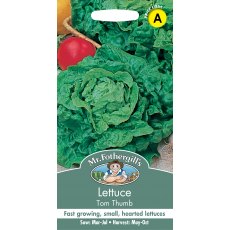 Fothergills Lettuce Tom Thumb Fothergills Lettuce Tom Thumb