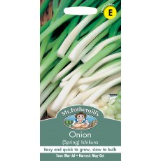 Fothergills Onion Spring Ishikura Fothergills Onion Spring Ishikura