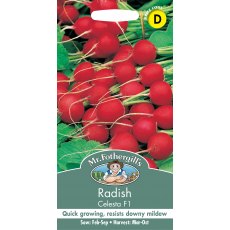 Fothergills Radish Celesta F1 Fothergills Radish Celesta F1