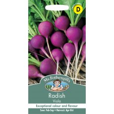 Fothergills Radish Viola Fothergills Radish Viola