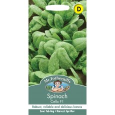 Fothergills Spinach Cello F1 Fothergills Spinach Cello F1