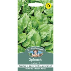 Fothergills Spinach Emilia Fothergills Spinach Emilia