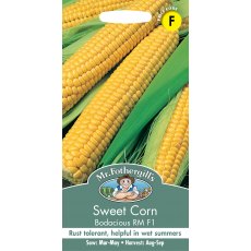 Fothergills Sweet Corn Bodacious Rm F1