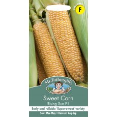 Sweet Corn Rising Sun F1