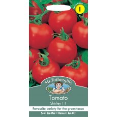Fothergills Tomato Shirley F1