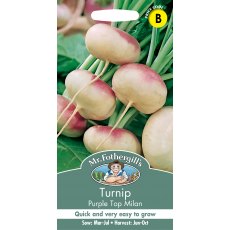 Fothergills Turnip Purple Top Milan