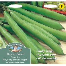 Fothergills Broad Bean Aguadulce Fothergills Broad Bean Aguadulce