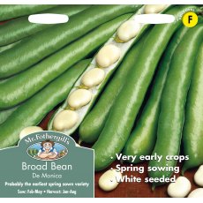 Fothergills Broad Bean Monica Fothergills Broad Bean Monica