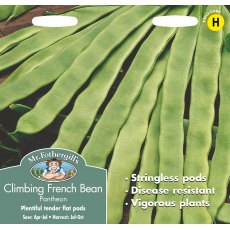 Fothergills Climbing Bean Pantheon Fothergills Climbing Bean Pantheon