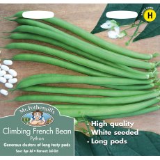 Fothergills Climbing Bean Python Fothergills Climbing Bean Python