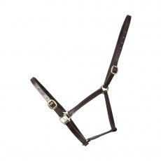 Leather Foal Headcollar Leather Foal Headcollar